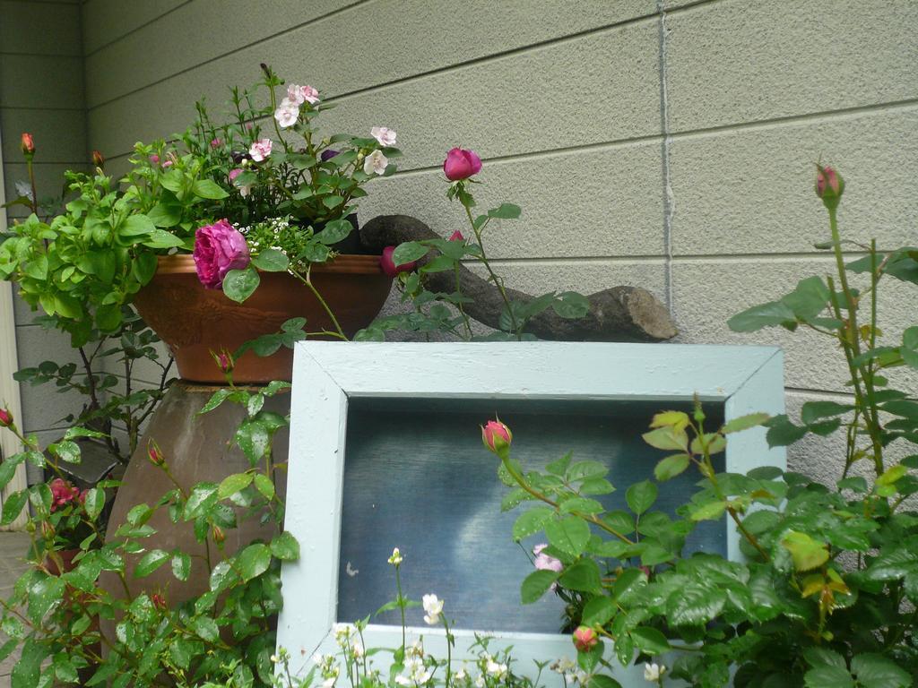 Auberge Shikinouta Tsuwano Exterior photo